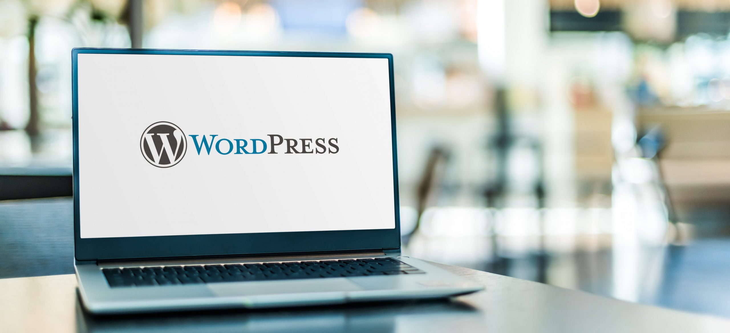 WordPress Maintenance by Premier Web Design Solutions